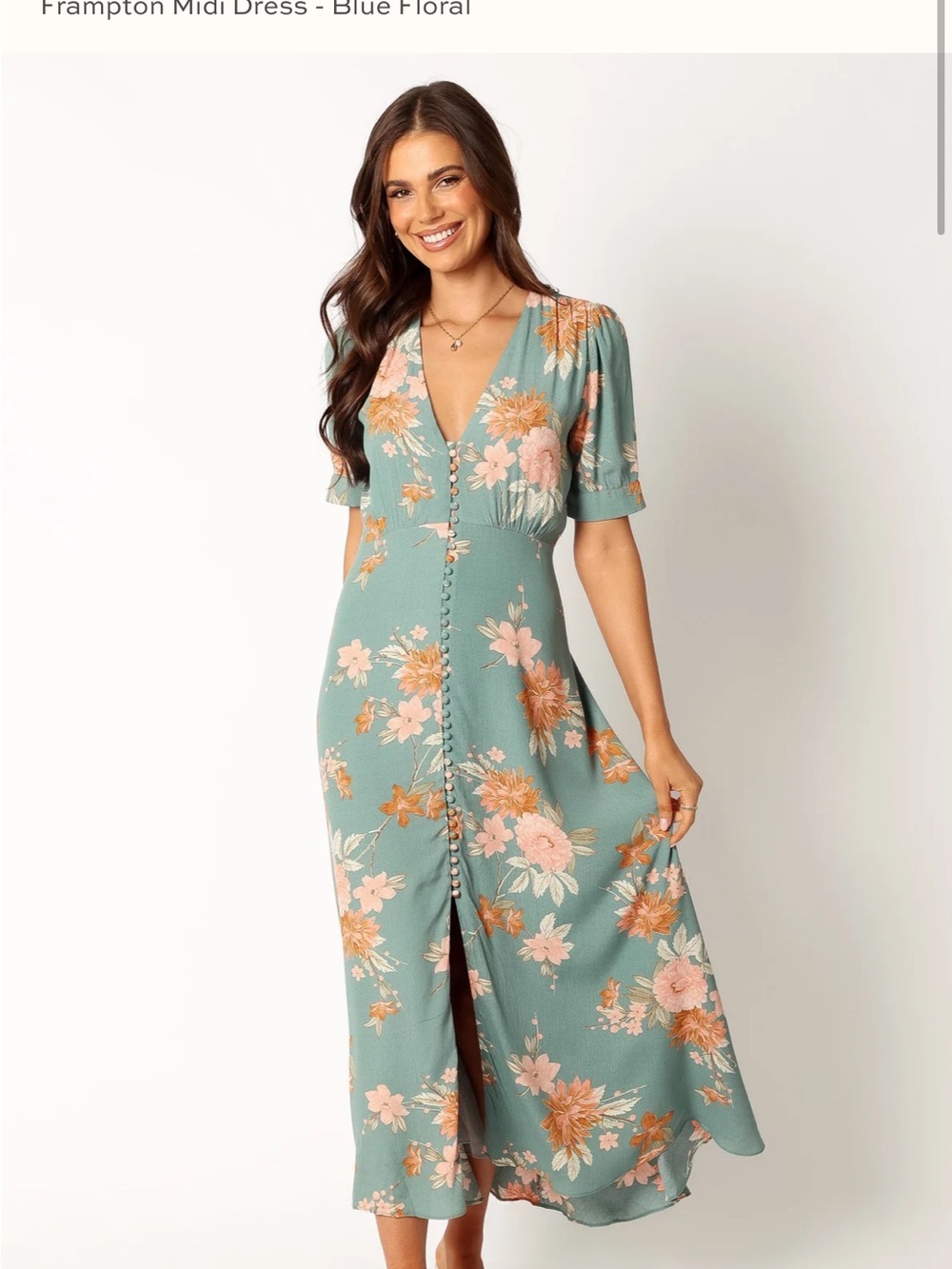 Petal & Pup Frampton Blue Floral Button-Front Midi Dress - Size M